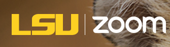 LSU Zoom Logo