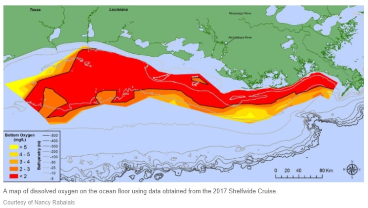 illustration of a red blob in the Gulf of Mexico
