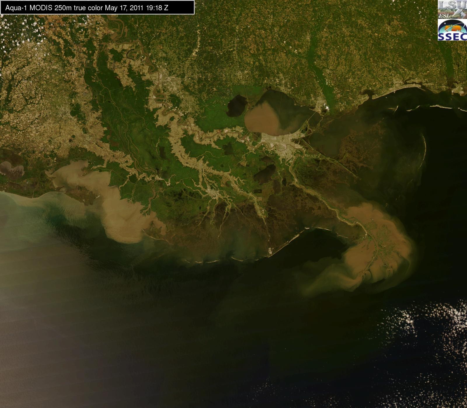 satellite image of the Gulf of Mexico