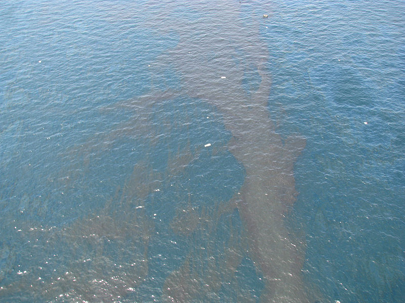 close up of an oil sheen in a body of water
