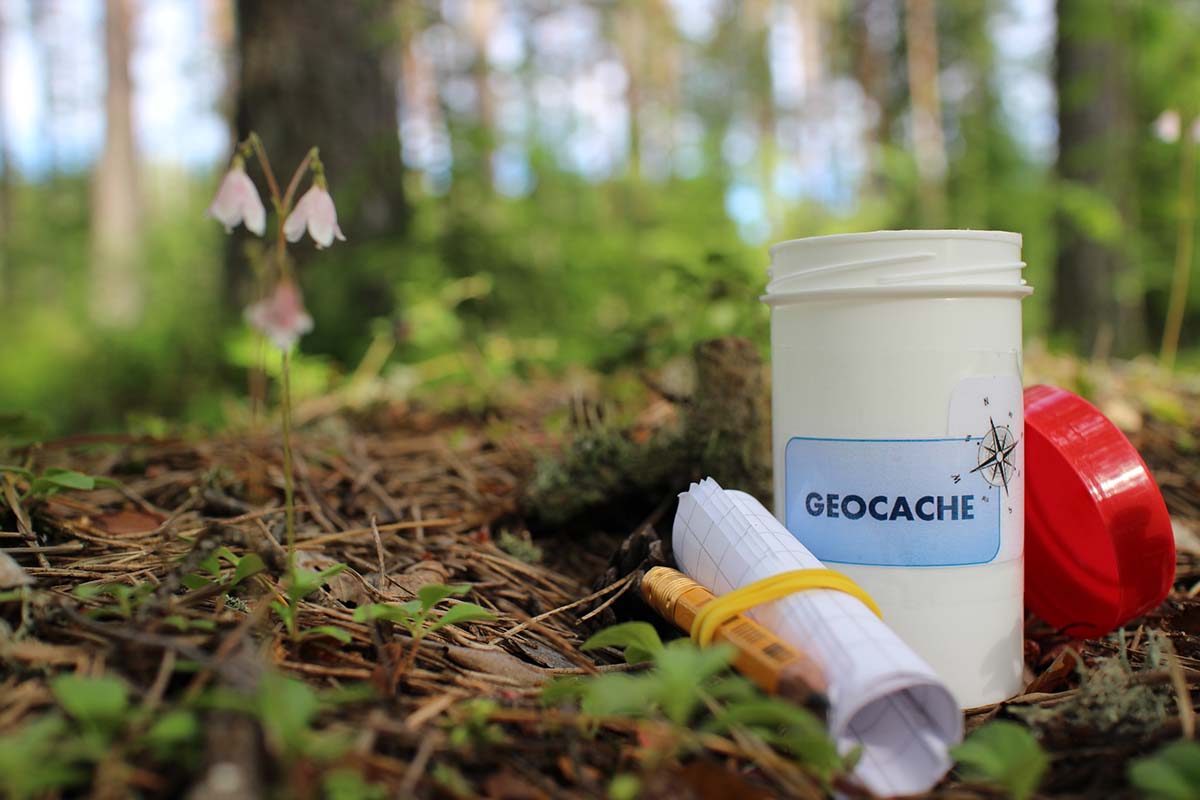 image of a geocache in a forest