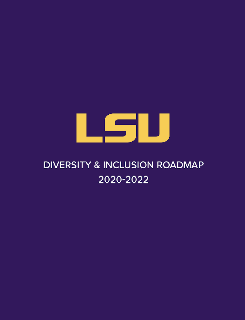 roadmap to diversity document cover