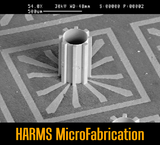 HARMS Micro-Gyroscope