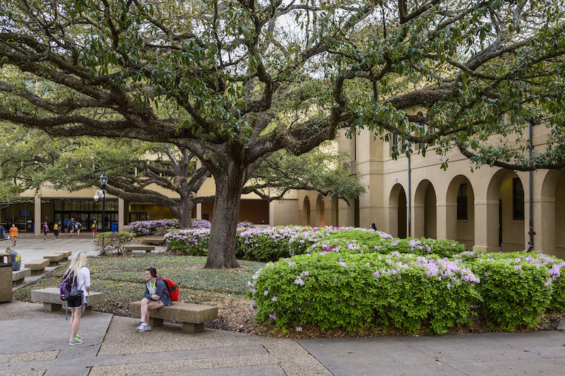 LSU's Quad with Himes Hall on the right