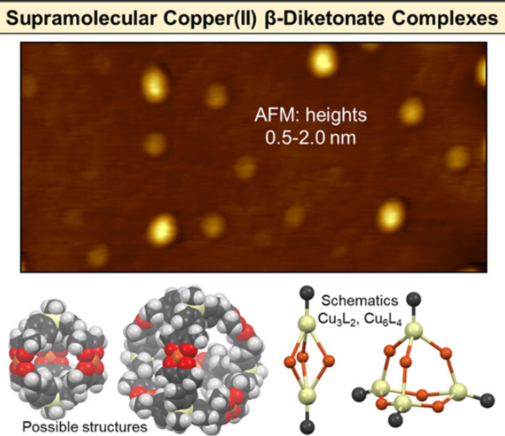 Supramolecular Copper(II) Complexes