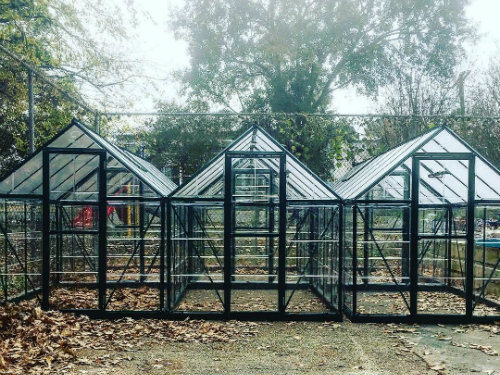Three glass greenhouses built with funding from the Student Sustainability Fund