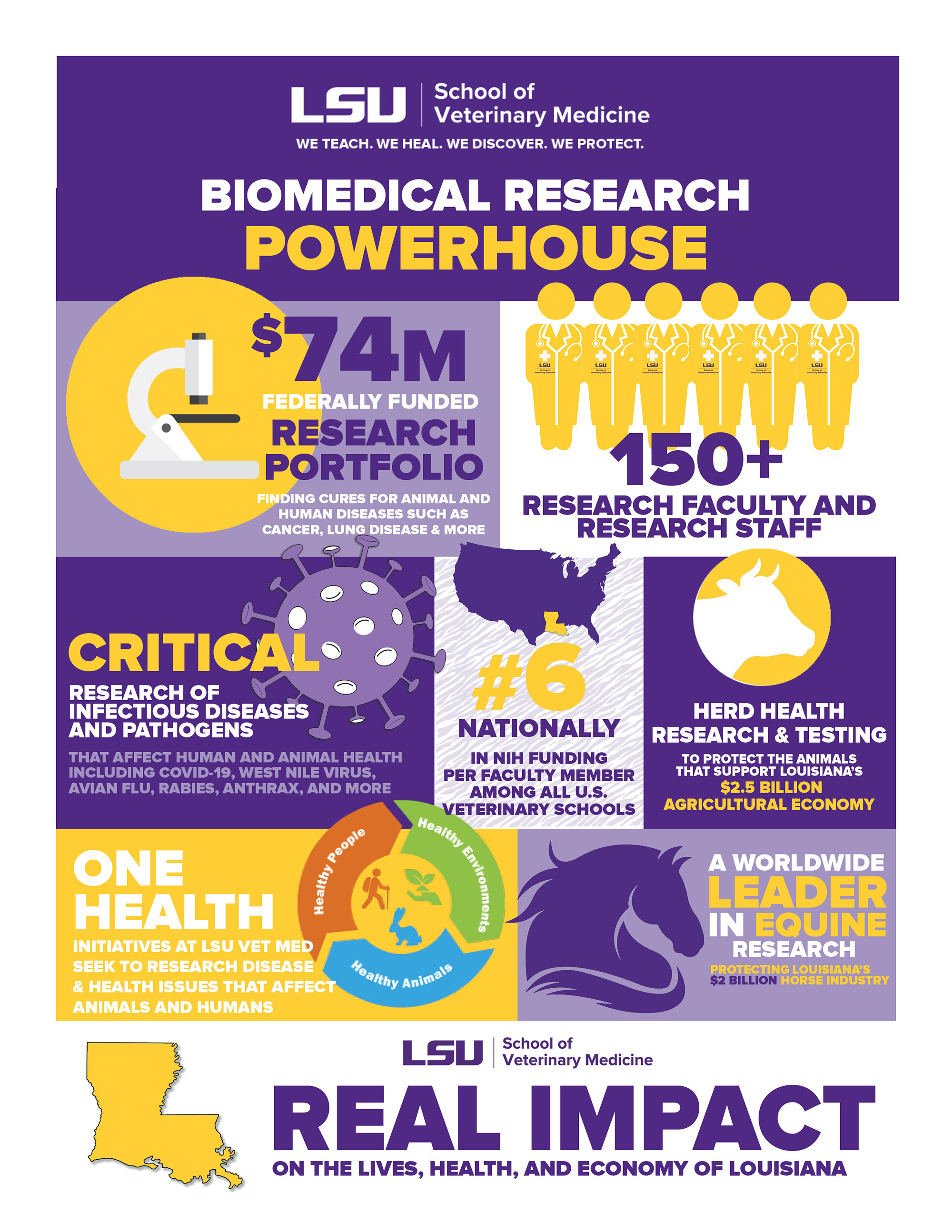 research infographic