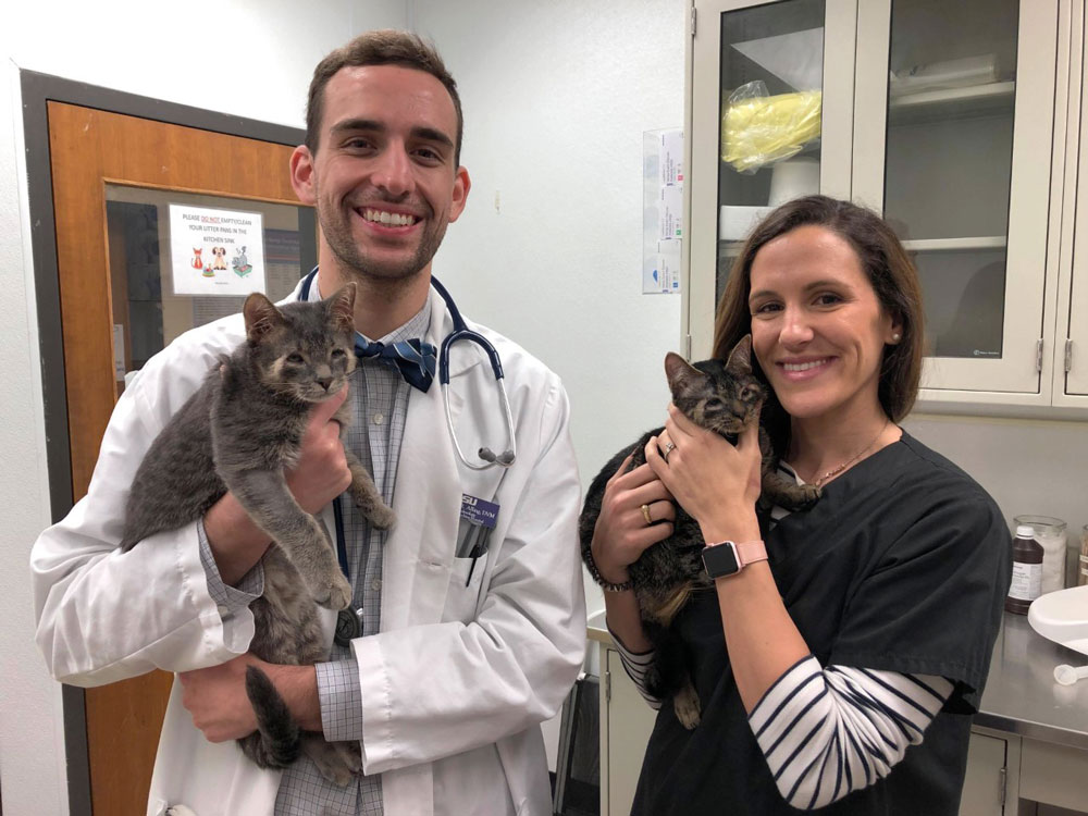 Drs. Chris Alling and Pilar Camacho-Luna holding cats who had the eyelid surgery 