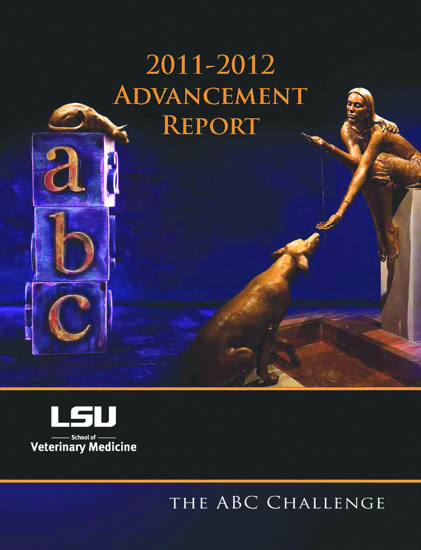 2012 advancement report cover