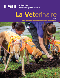 La Veterinaire 2019 cover