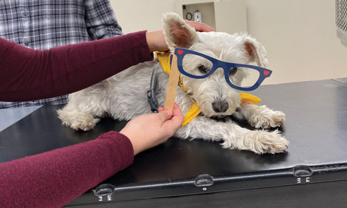 Sophie with glasses