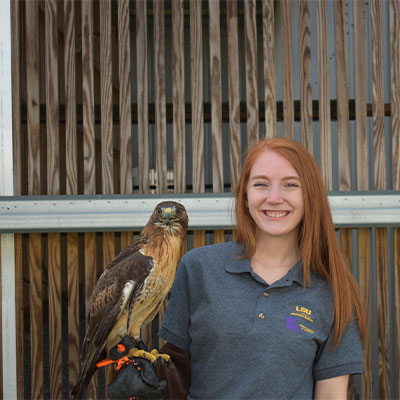 Shelby Parks with hawk