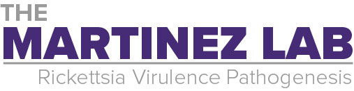 Martinez Lab logo